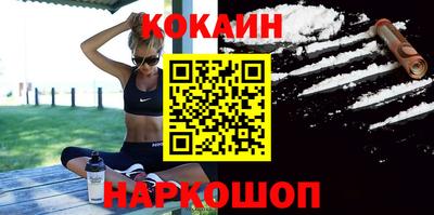 стафф Кингисепп