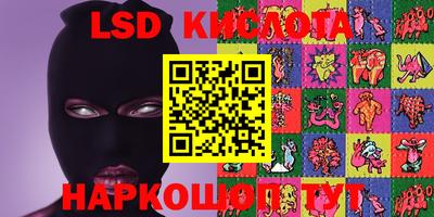 стафф Кингисепп