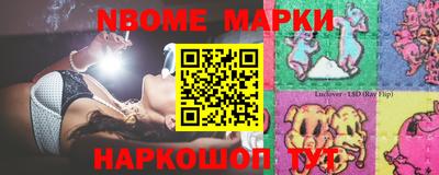 стафф Кингисепп