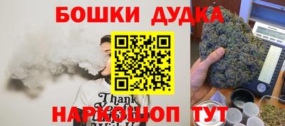 стафф Кингисепп