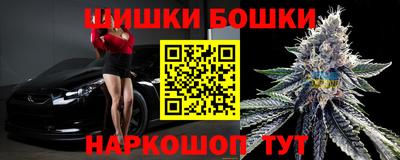 стафф Кингисепп