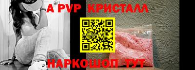 стафф Кингисепп