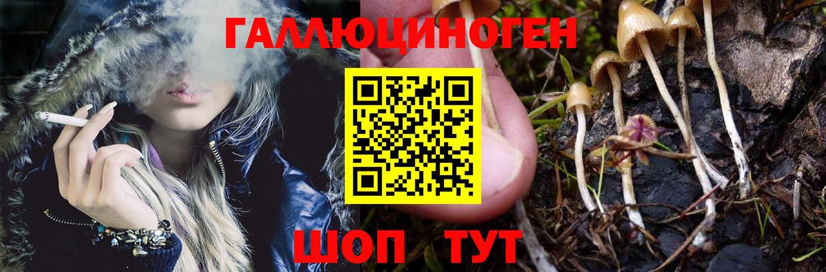 Черемхово  Псилоцибиновые грибы прущие грибы  Псилоцибиновые грибы прущие грибы  Вход с VPN 